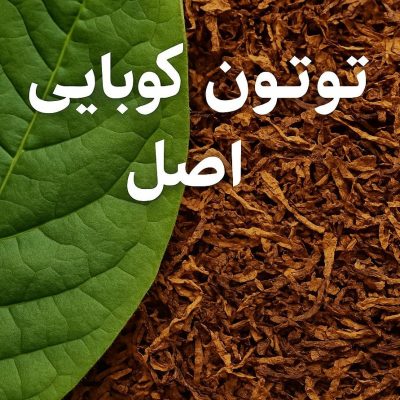 توتون کوبایی اصل